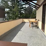 Pirol ベルリン